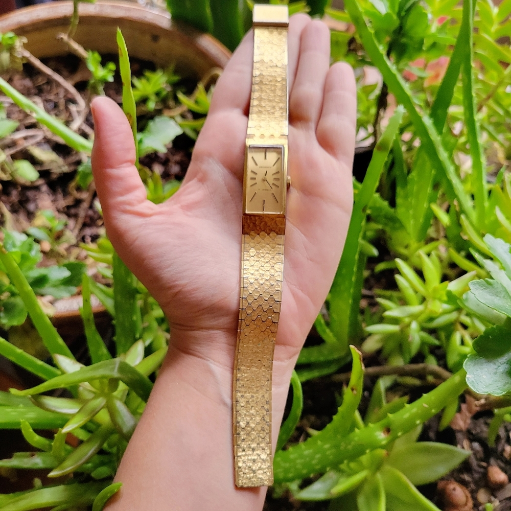 Vintage Regency 17 Jewels Classic Gold Watch